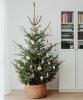 Sådan rengøres et kunstigt juletræ