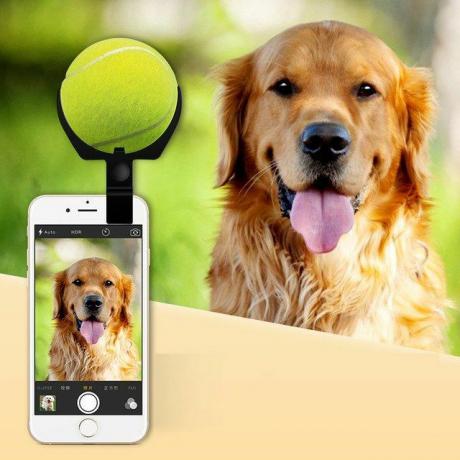 Pooch Selfie Stick Smartphone Kamera Tilbehør