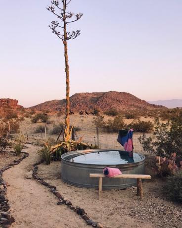 piscina di riserva in un giardino nel deserto