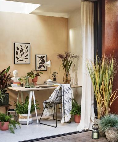 Záhradná kancelária so stolom v štýle podstavca, botanickými výtlačkami na stene a množstvom črepníkových izbových rastlín.