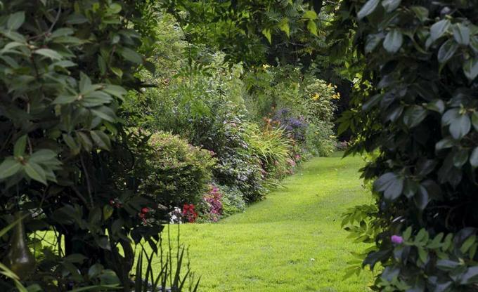 Fronteras densamente plantadas en el jardín en Hampshire