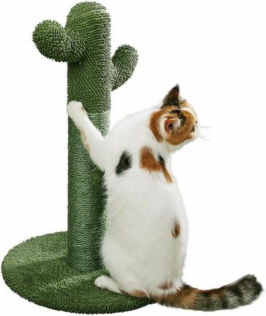 Rascador para gatos PetnPurr Cactus