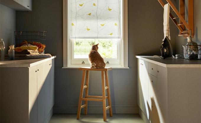 rolgordijnen in een keuken met een kat