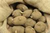 Kad stādīt kartupeļus: ieskaitot padomus, kā un kur tos stādīt