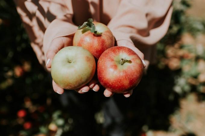 التفاح ، بواسطة ناتالي غرينر