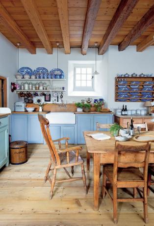 mėlyna purtyklė virtuvė