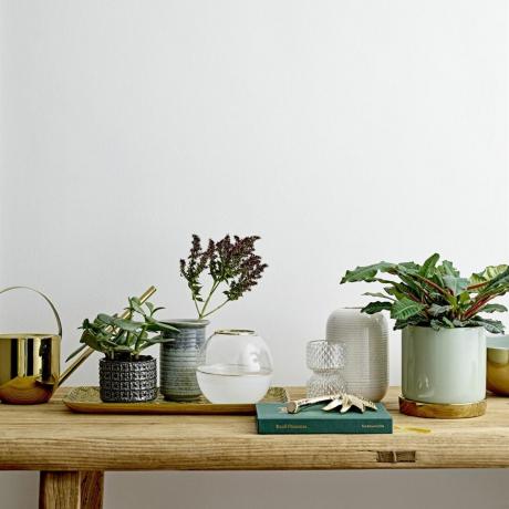 Un tavolo da pranzo in legno sormontato da vasi e vasi per piante assortiti