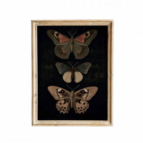 Et sort sommerfugle-kunstprint med en træramme