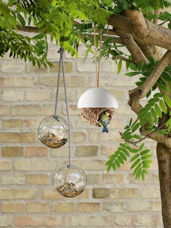 cel mai bun hrănitor pentru păsări: hrănitoare pentru păsări în formă de sferă de sticlă de la John Lewis & Partners