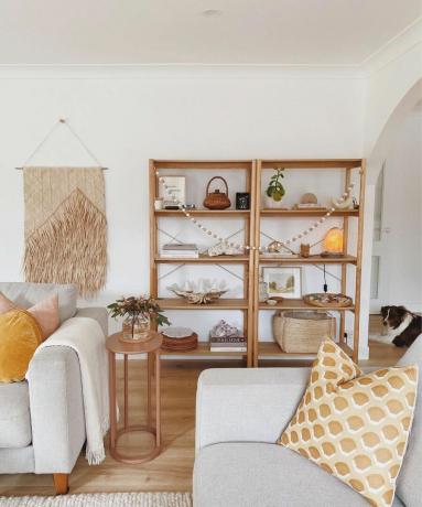 Maža svetainė su dviem sofomis ir dviem medinėmis knygų lentynomis su dekoru