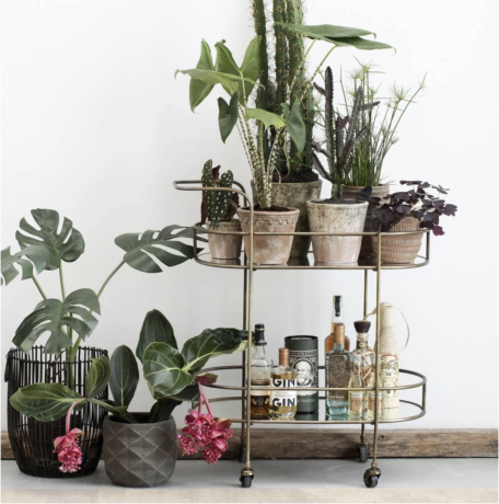 Gold Metal & Glass Bar Cart van Ella James zorgt ervoor dat planten deel uitmaken van een buitenbar-opstelling