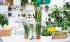 12 kipróbálható Ikea kertészeti hack - bármennyire kicsi a telek