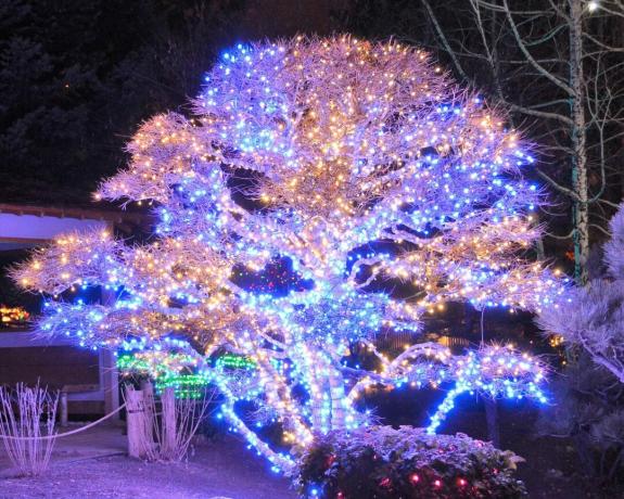 Büyük bir bahçe ağacında pastel tonlarda dış mekan ışıkları