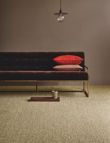 obývací pokoj s pohovkou a sisalovou podlahou
