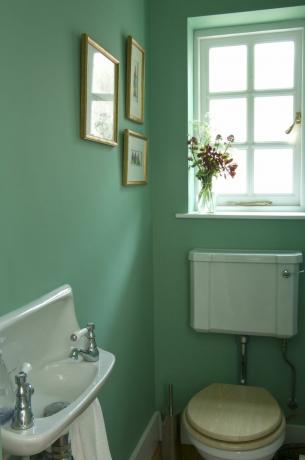 Vonios kambarys nudažytas „Farrow“ ir „Ball Arsenic Green“ spalvomis