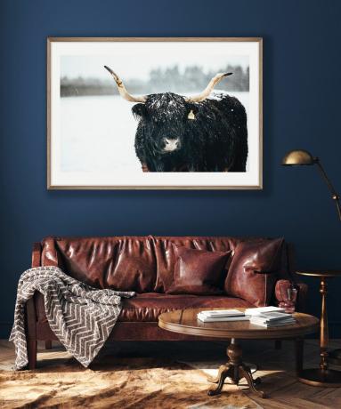 Obytná kožená pohovka, vintage kulatý konferenční stolek, stará mosazná lampa na čtení a nástěnné malby s potiskem velkých krav na tmavé indigové stěně.