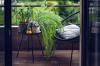 Kako začeti balkonski vrt – 9 nasvetov za pridelovalca majhnih prostorov