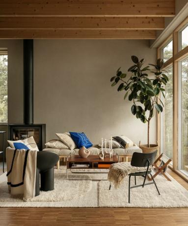 Plaid e cuscini neutri con cuscini blu Klein aggiunti su divano in legno e sedie moderne nere su tappeto neutro arruffato con pavimenti in legno e travi superiori