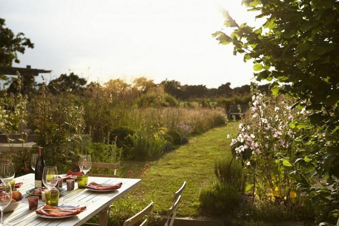 Trädgård vid havet på sommaren med ett matbord