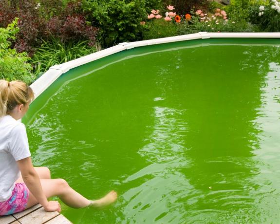 Uma piscina ficou verde devido ao crescimento de algas