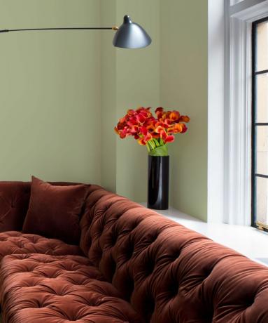 Alyvuogių šakelių žalias skausmas ir raudona sofa