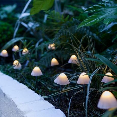 12 mini-lumières solaires en forme de champignon de Lights4fun