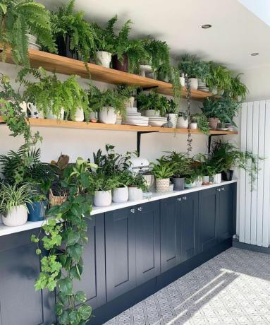 Marine bootroom-idee van Mo Hussen met planten