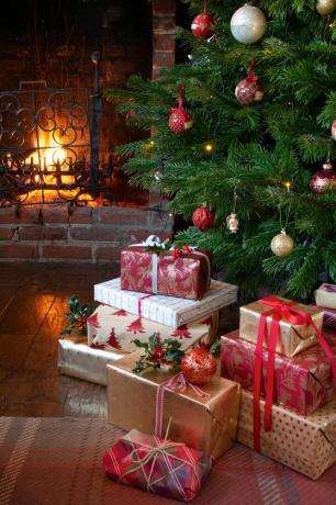 O Vánocích byl v Tudorově domě uveden stupeň II