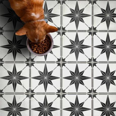kaip dažyti grindų plyteles: raštuotos grindų plytelės, sukurtos naudojant „Dizzy Duck Designs UK“ trafaretą „Etsy“