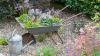 Skutečná zahrada: oceněná zahradní chata