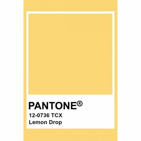 Колір року Pantone