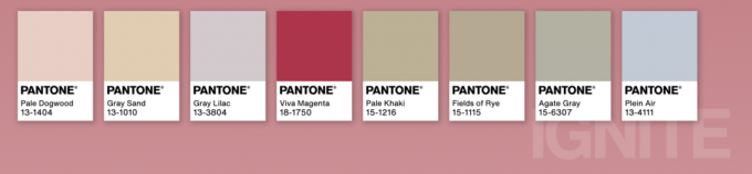 Il colore dell'anno di Pantone, Viva Magenta, insieme ad altre tonalità Pantone che si coordinano