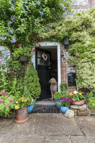 porta d'ingresso del cottage con cane