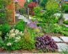 10 бюджетни идеи за озеленяване на предния двор