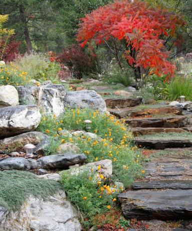 Un jardin d'automne avec des rochers
