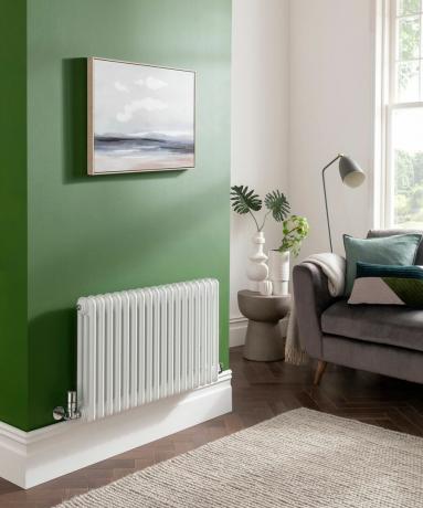 Obývací pokoj se zelenou stěnou a bílým radiátorem