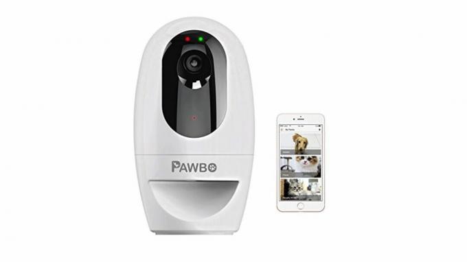 geriausia naminių gyvūnėlių kamera: „Pawbo Life“ naminių gyvūnėlių kamera