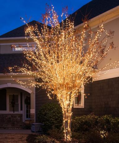 Ön bahçe ağacında mini LED bakır ışıklar