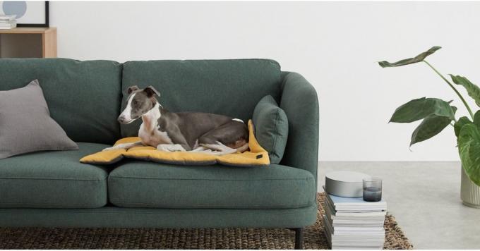 Made.com производит стильный ассортимент кроватей, одеял, мисок, домиков и сумок для домашних животных.