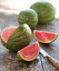 Sådan vælger du en vandmelon: en rigtig god en