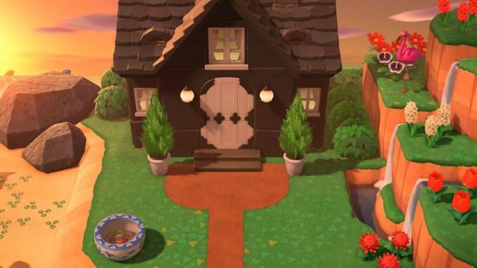Вход в дом Animal Crossing