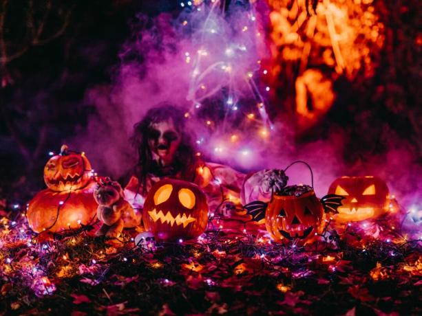 Spettrale decorazione di Halloween all'aperto arancione e rosa Zucche e luci controllate dall'app Twinkly™ Smart