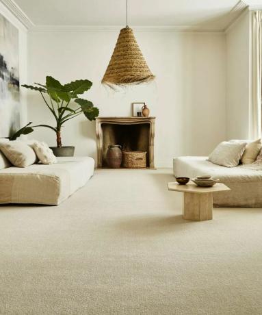 Neutrální obývací pokoj s kobercem a rostlinami