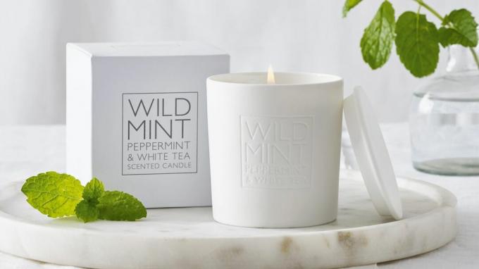 Geriausia žvakė vasarai: „White Company Wild Mint“ žvakė
