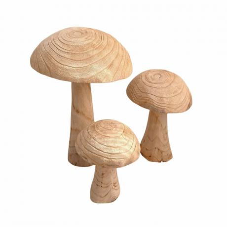 Funghi di legno