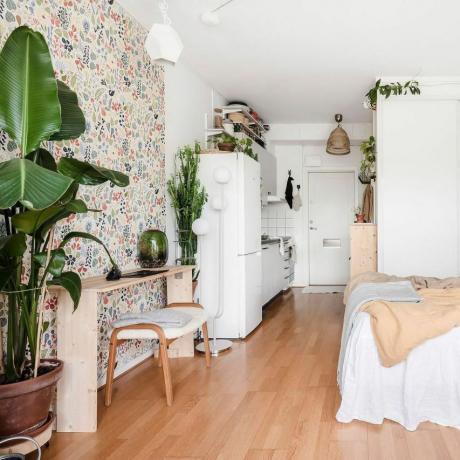 Open woon-slaapkamer met houten vloeren, grote ramen, witte meubels en veel kamerplanten