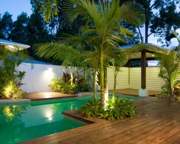 Et varmt træterrasse med pool og tropisk beplantning