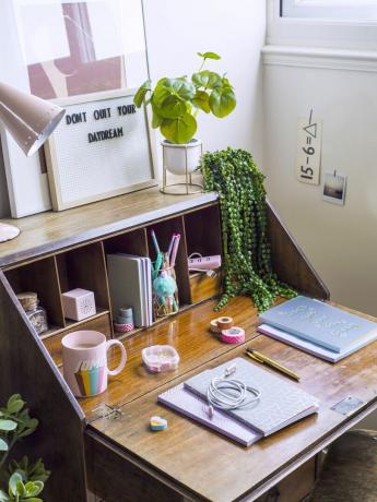 scrivania in legno con graziose cancellerie e piante da appartamento
