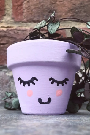 lilla plantekrukke med ansigt 