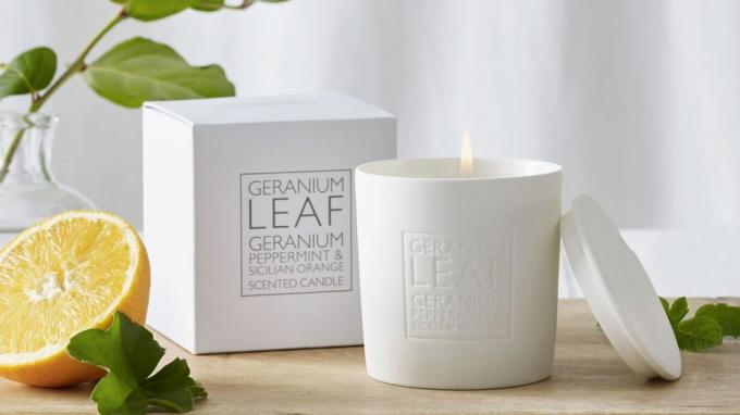 საუკეთესო სახლის სუნამო: თეთრი კომპანია Geranium Leaf Candle